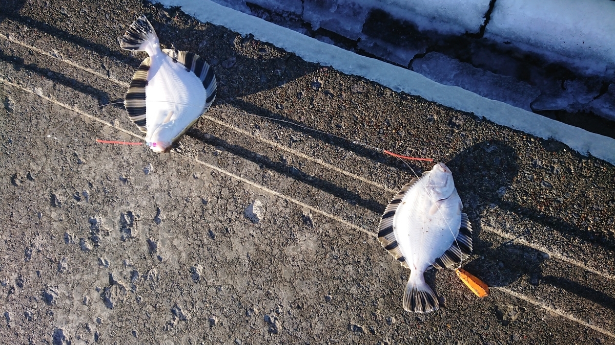 f:id:serezo_com:20191209181730j:plain f:id:serezo_com:20191209181730j:plain