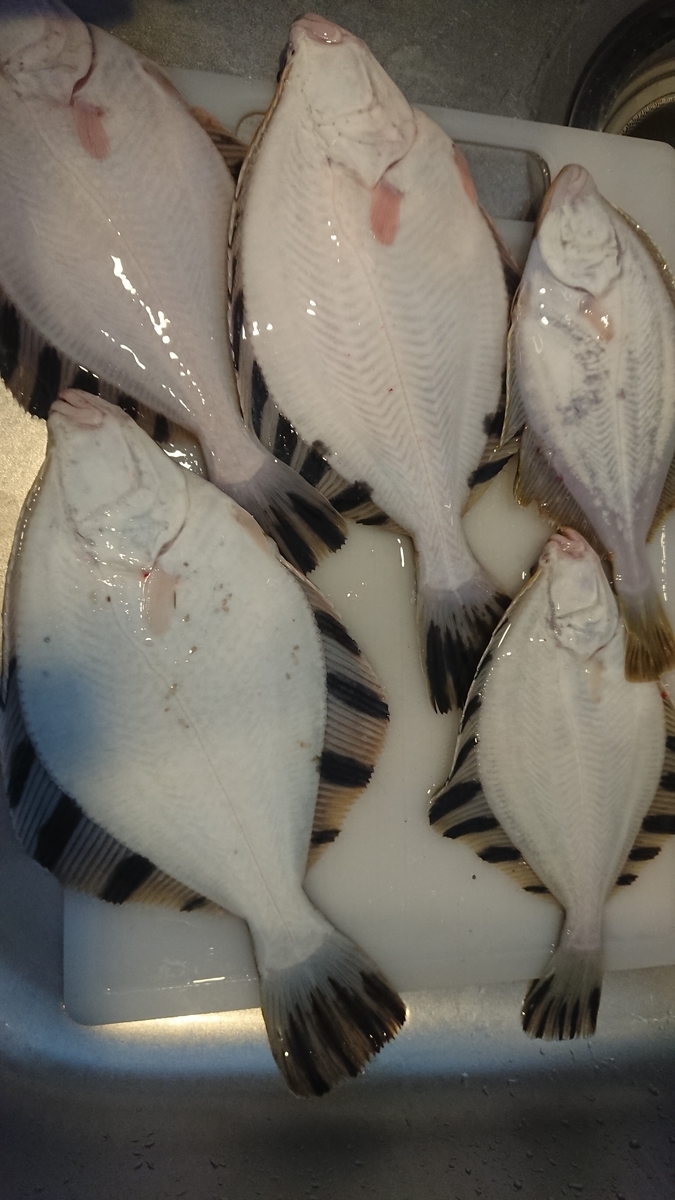 f:id:serezo_com:20191209182050j:plain f:id:serezo_com:20191209182050j:plain