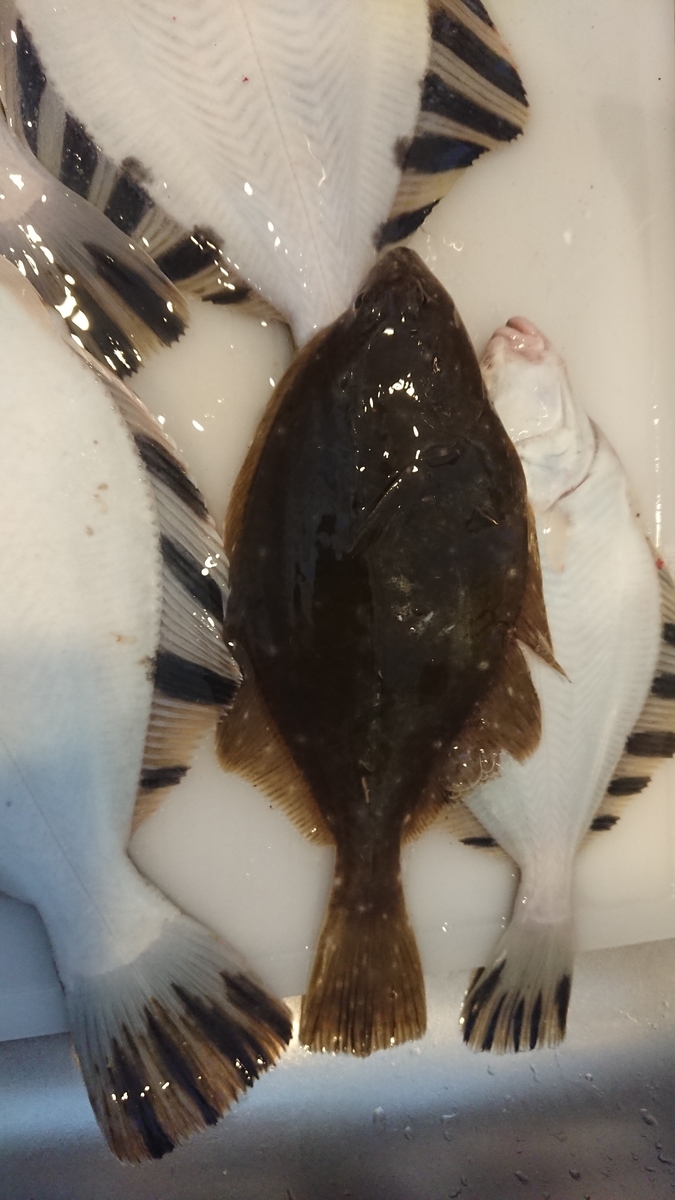 f:id:serezo_com:20191209182638j:plain f:id:serezo_com:20191209182638j:plain