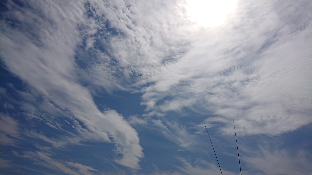 f:id:serezo_com:20200701141037j:plain
