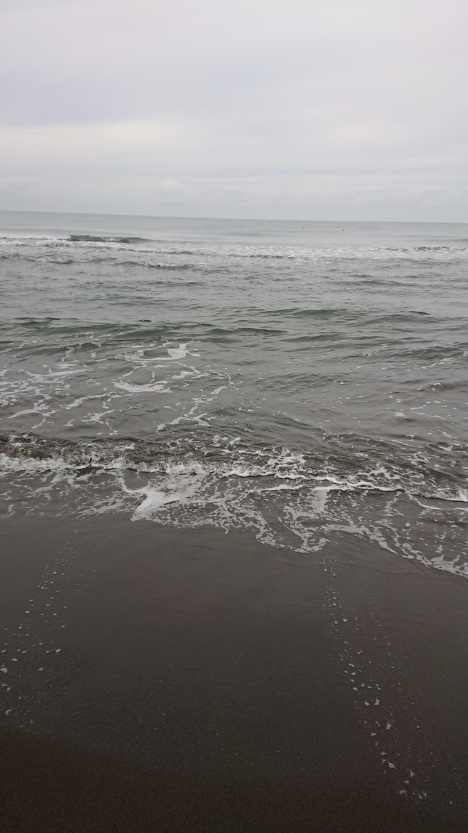 f:id:serezo_com:20201004165022j:plain