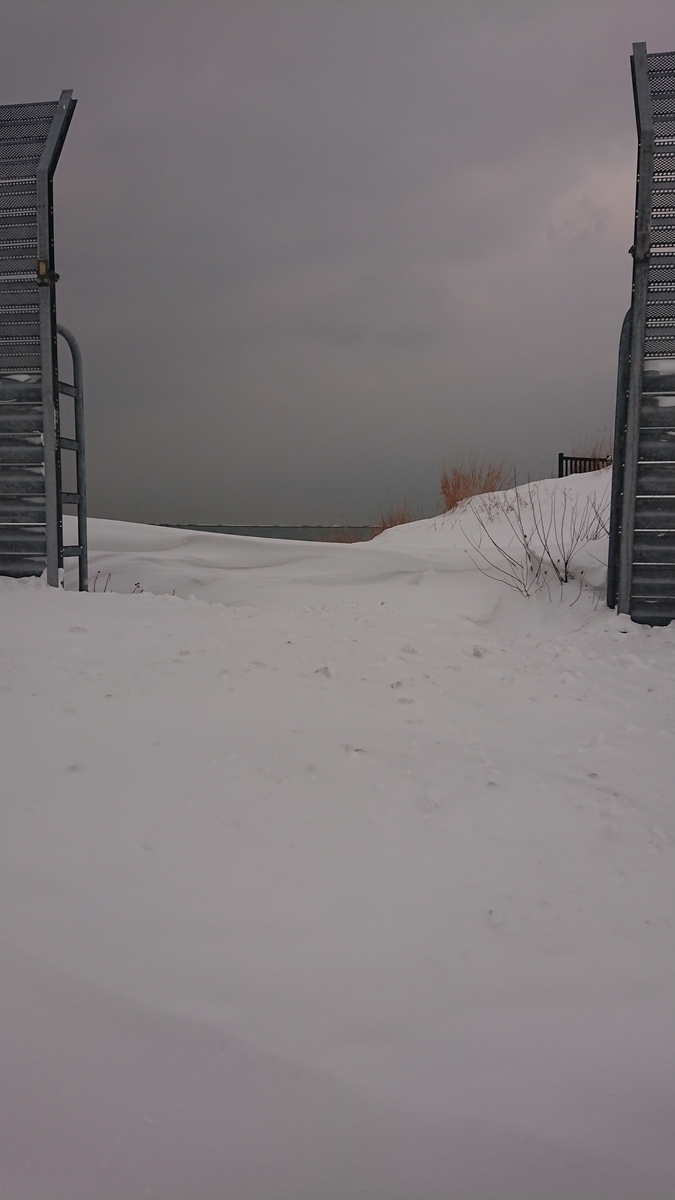 f:id:serezo_com:20210121151100j:plain