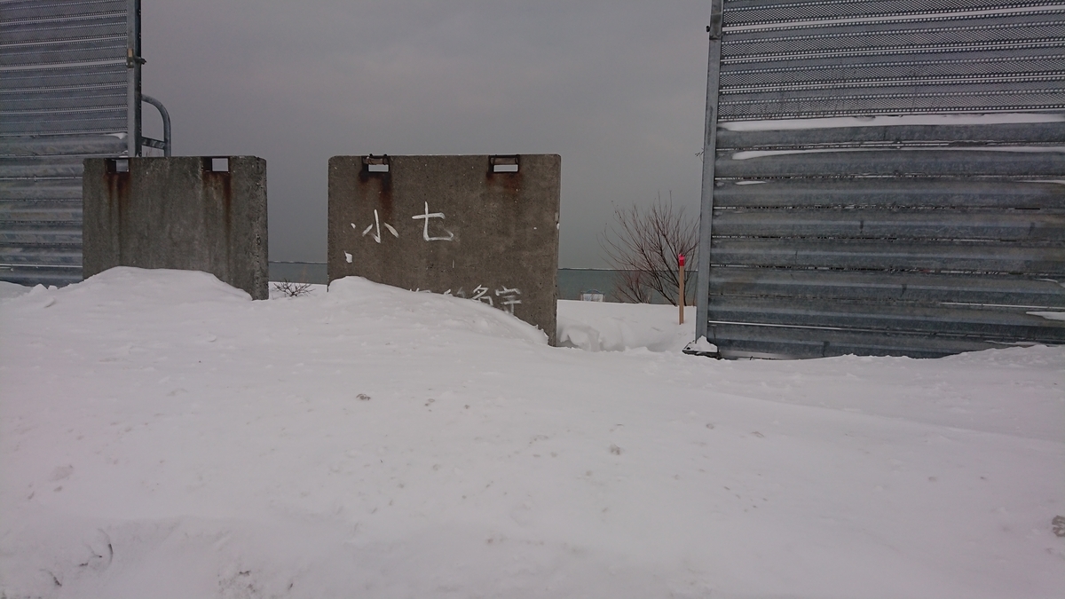 f:id:serezo_com:20210121151122j:plain