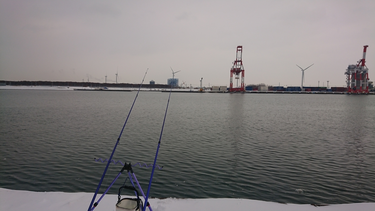 f:id:serezo_com:20210121151313j:plain
