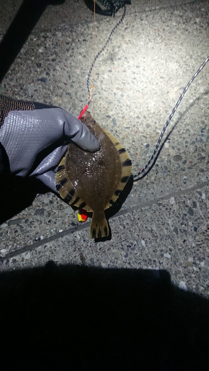 f:id:serezo_com:20210514230407j:plain