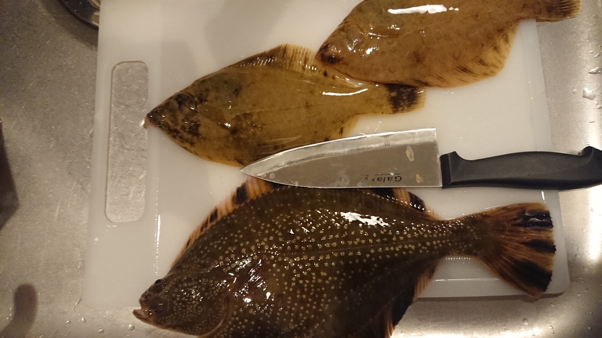 f:id:serezo_com:20210514230950j:plain