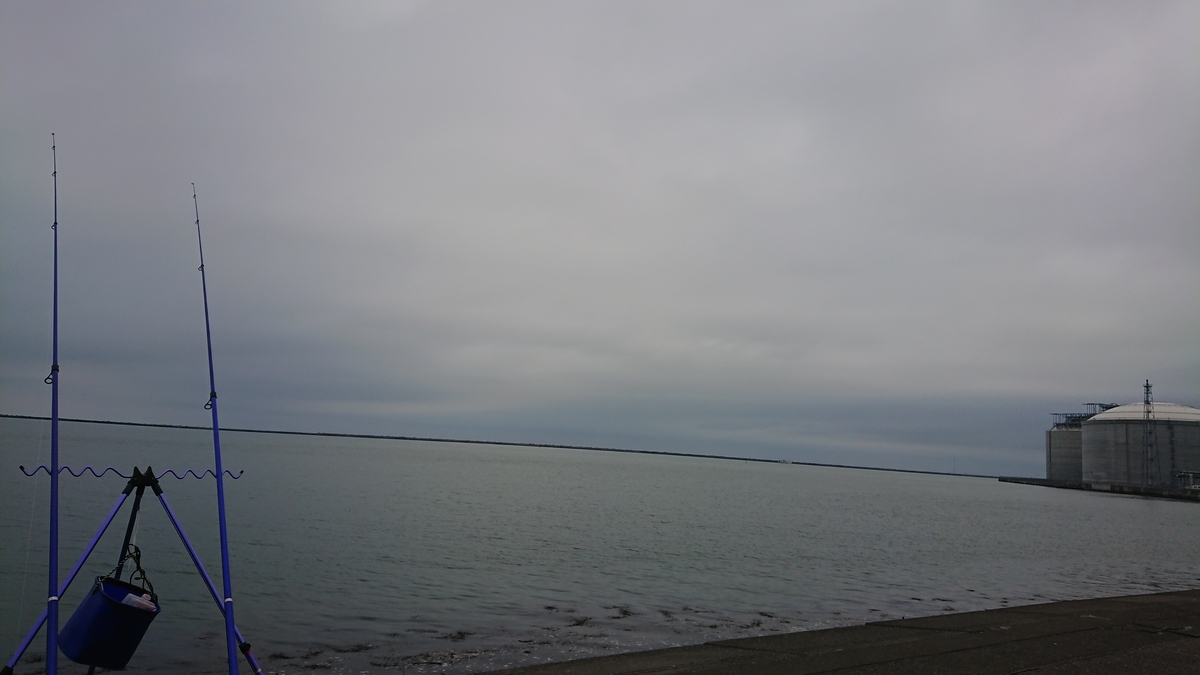 f:id:serezo_com:20210609123633j:plain