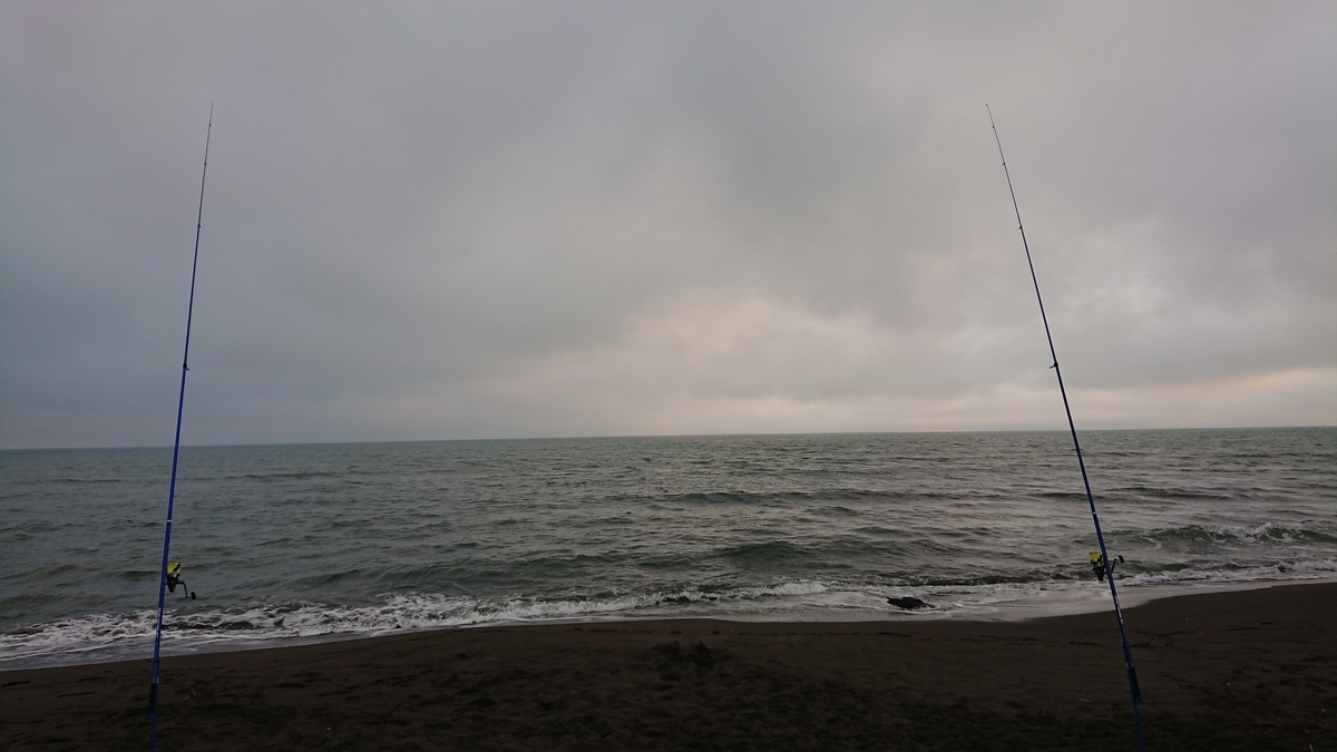 f:id:serezo_com:20210614135841j:plain