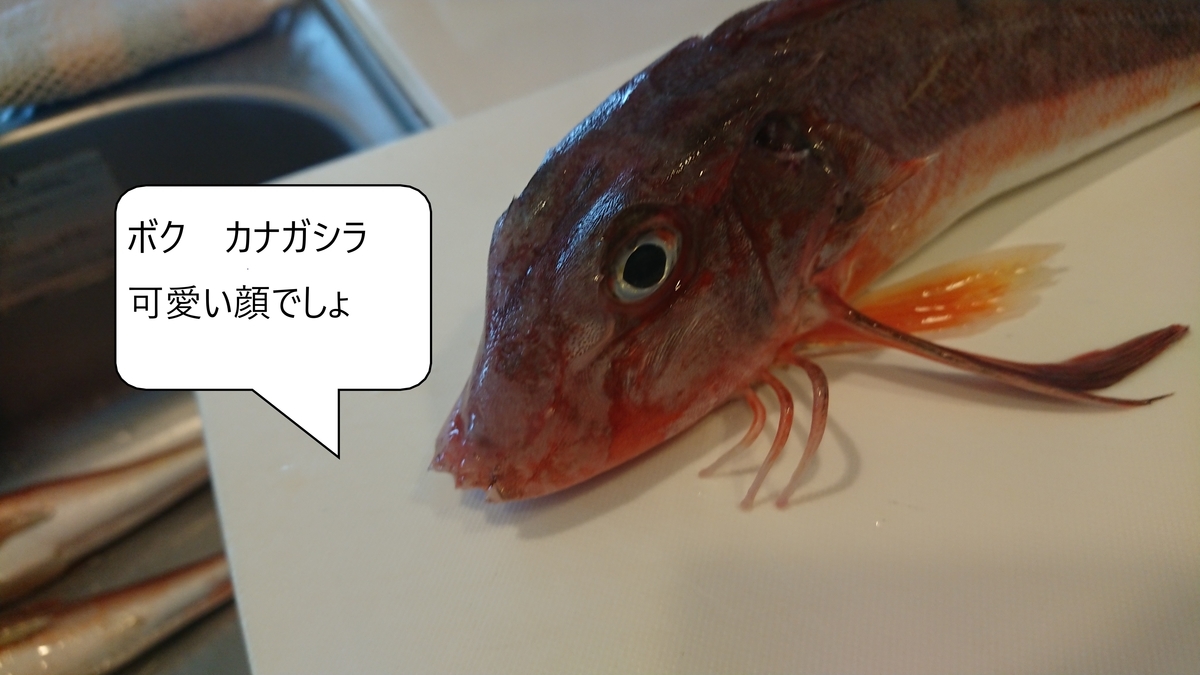 f:id:serezo_com:20210803173832j:plain
