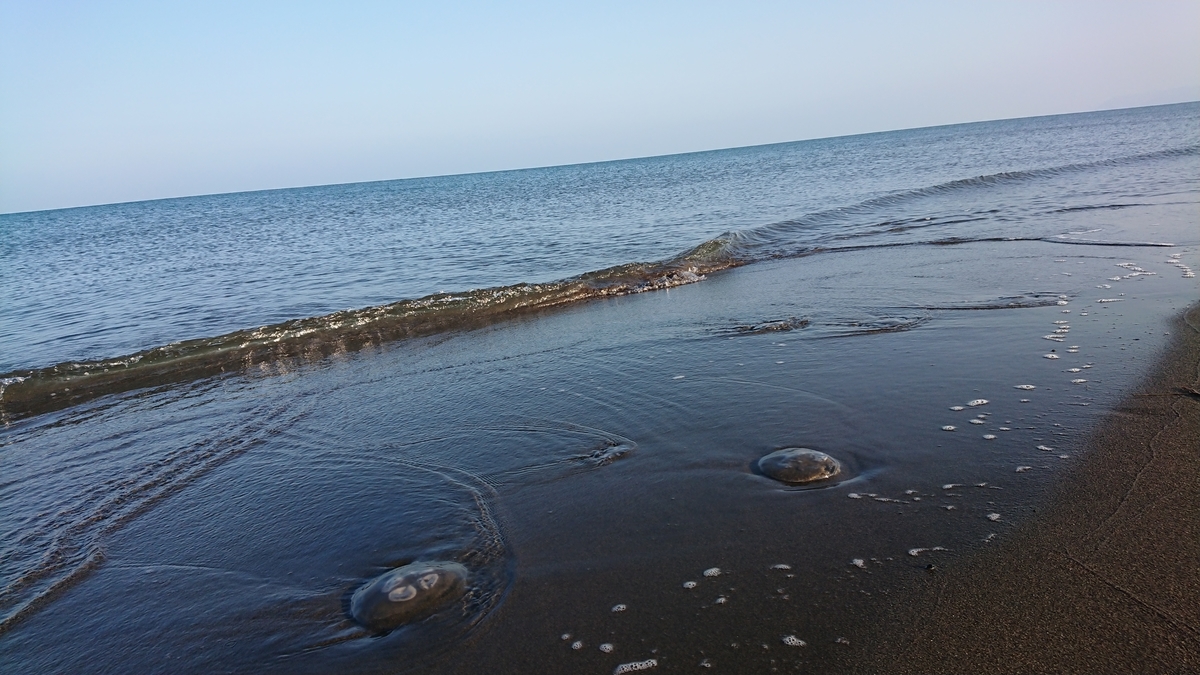 f:id:serezo_com:20210817115831j:plain
