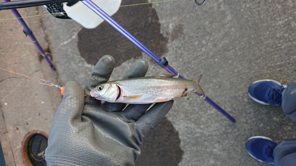 f:id:serezo_com:20210907131913j:plain