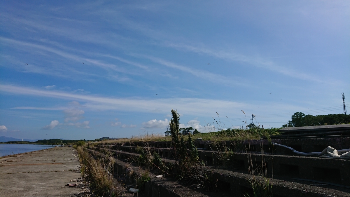 f:id:serezo_com:20210907132850j:plain