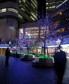 11/21 青い夜景（於 横浜Queen's Square）