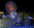 11/21 「花火みたいだ」と息子（於 横浜Queen's Square）