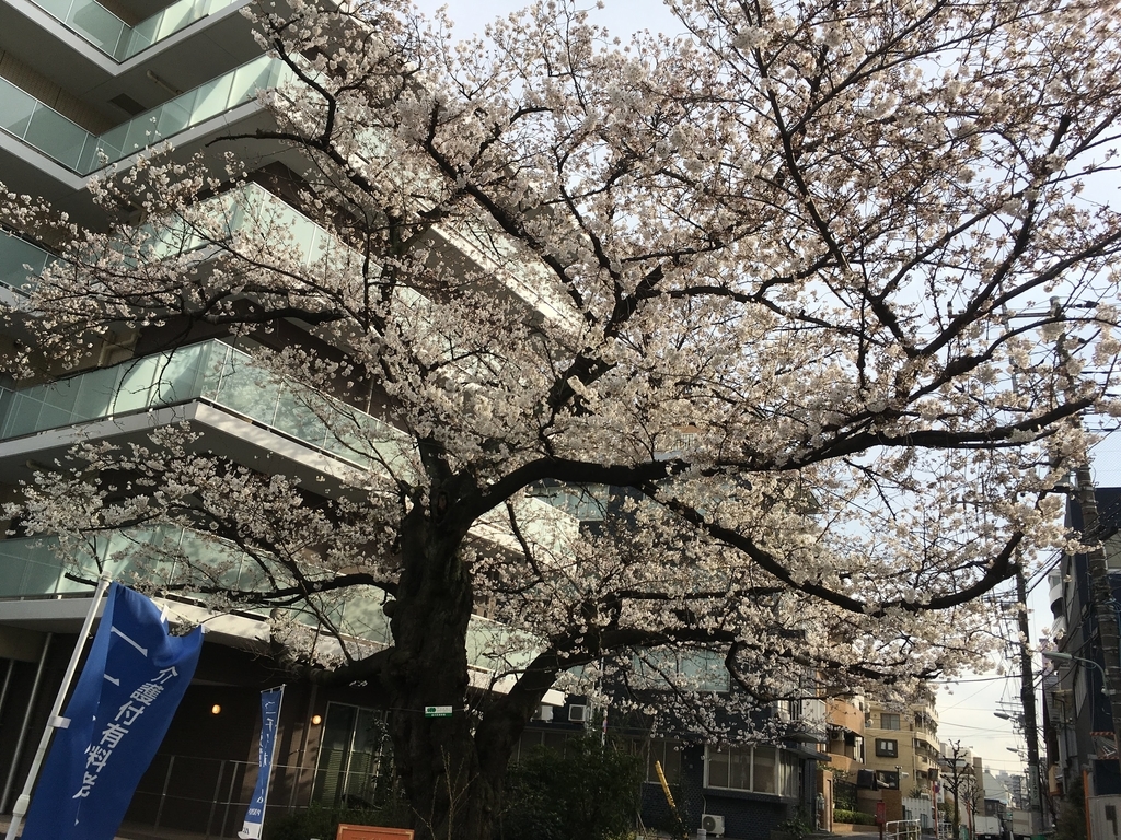 f:id:serihiro:20180324155150j:plain