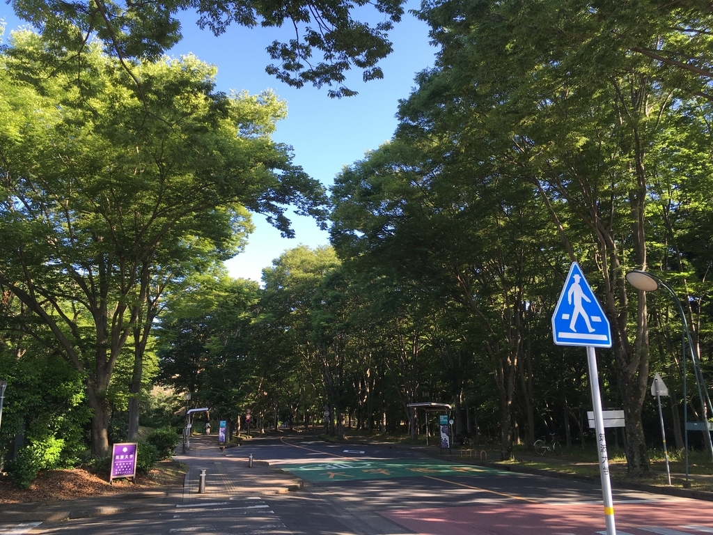 f:id:serihiro:20180601070148j:plain