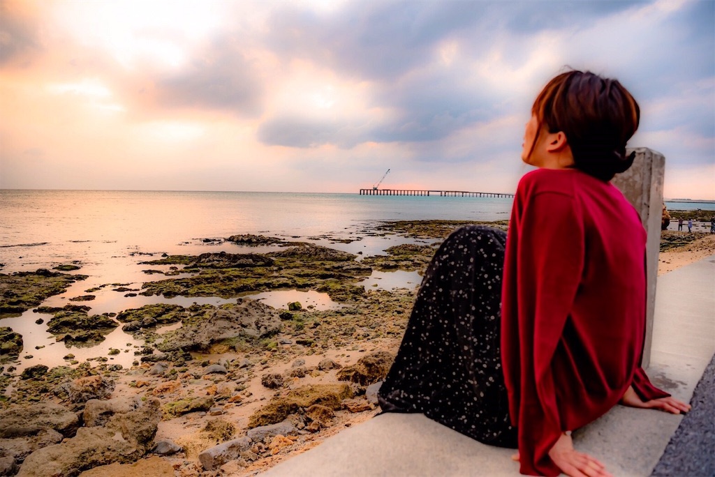 f:id:serin_aria:20190209204110j:image f:id:serin_aria:20190209204110j:image