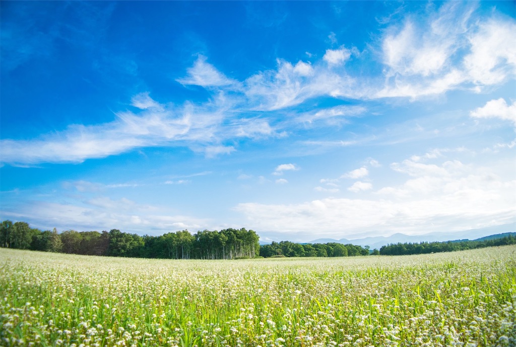 f:id:serizawa-yoshiki:20200507210647j:image f:id:serizawa-yoshiki:20200507210647j:image