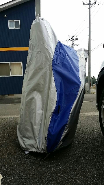 イメージ 3