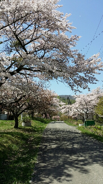 イメージ 9