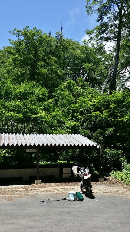 イメージ 5