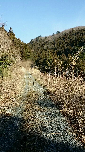 イメージ 3