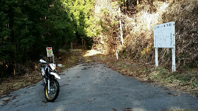 イメージ 6