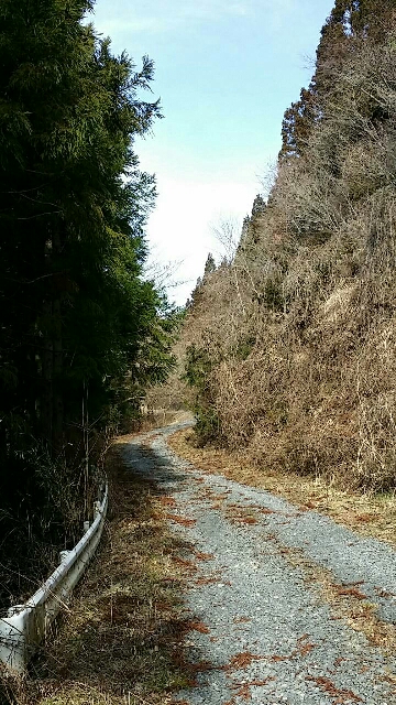 イメージ 5