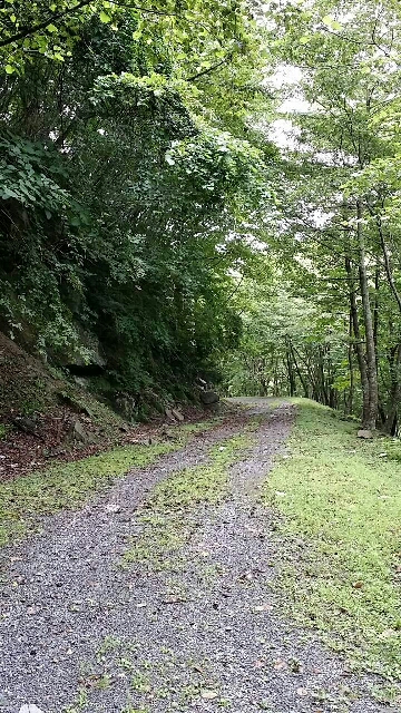 イメージ 6
