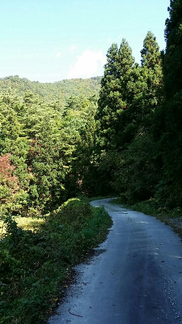 イメージ 4
