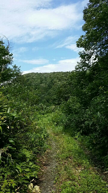 イメージ 4