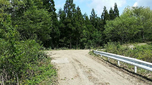 イメージ 5