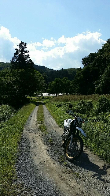 イメージ 3
