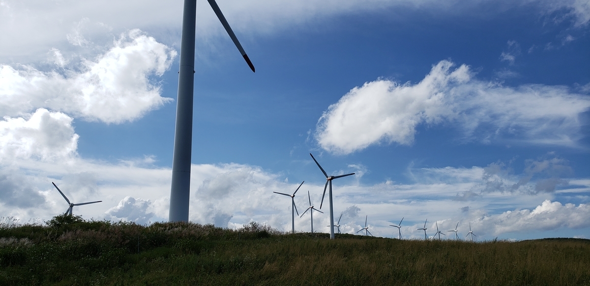 f:id:serow2012:20190901145235j:plain