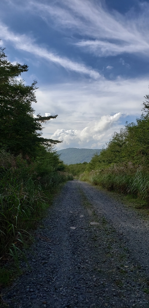 f:id:serow2012:20190901150325j:plain