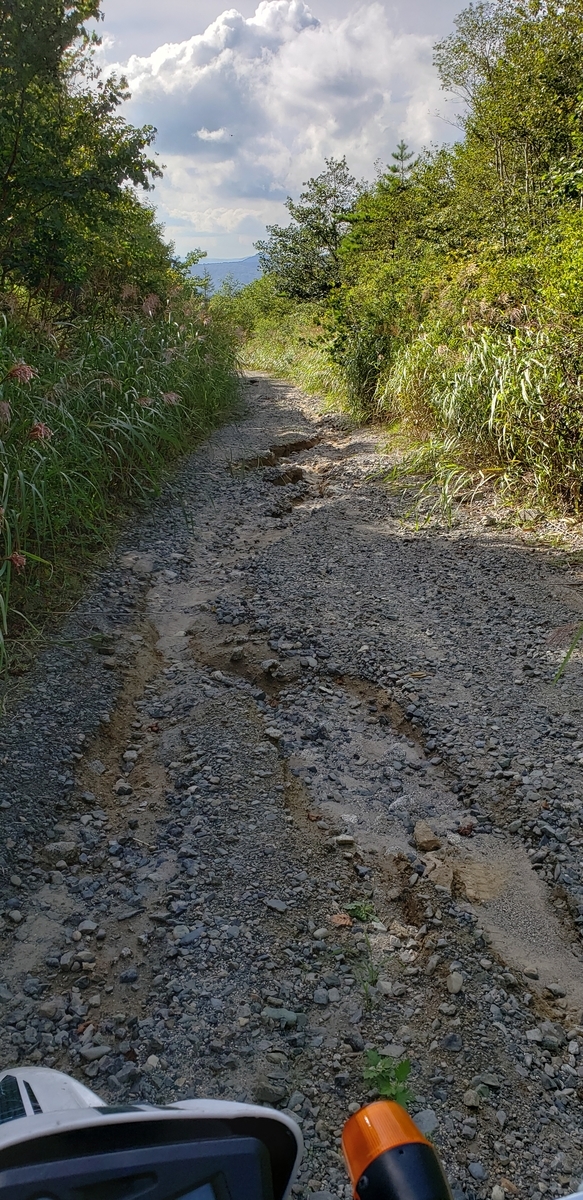 f:id:serow2012:20190901150428j:plain