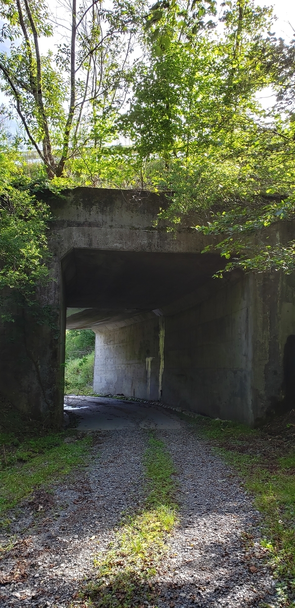 f:id:serow2012:20190901151639j:plain