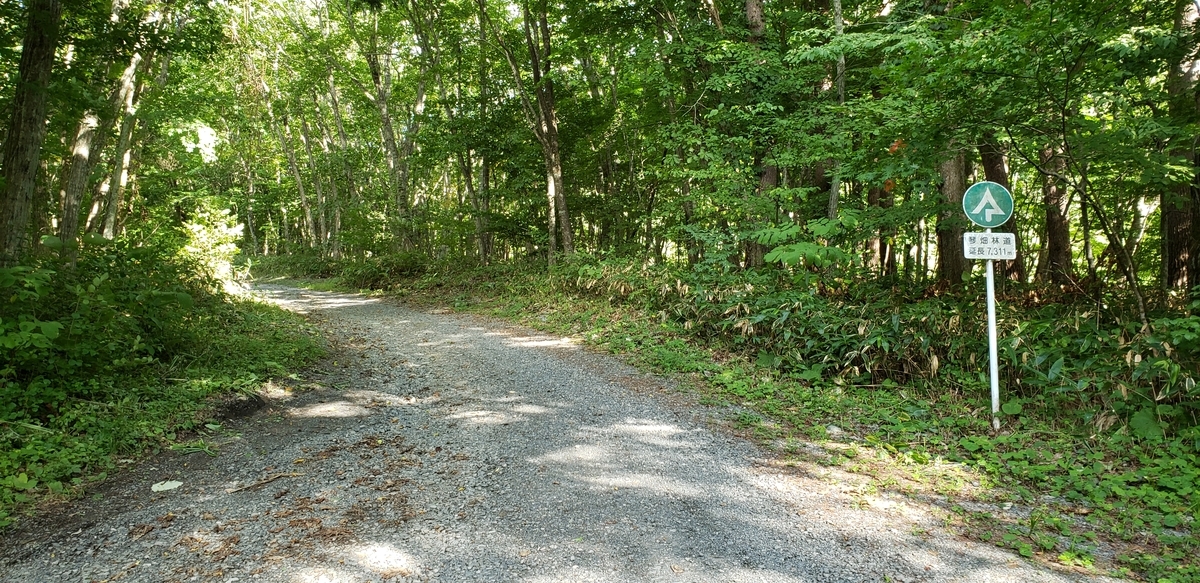 f:id:serow2012:20190901153035j:plain