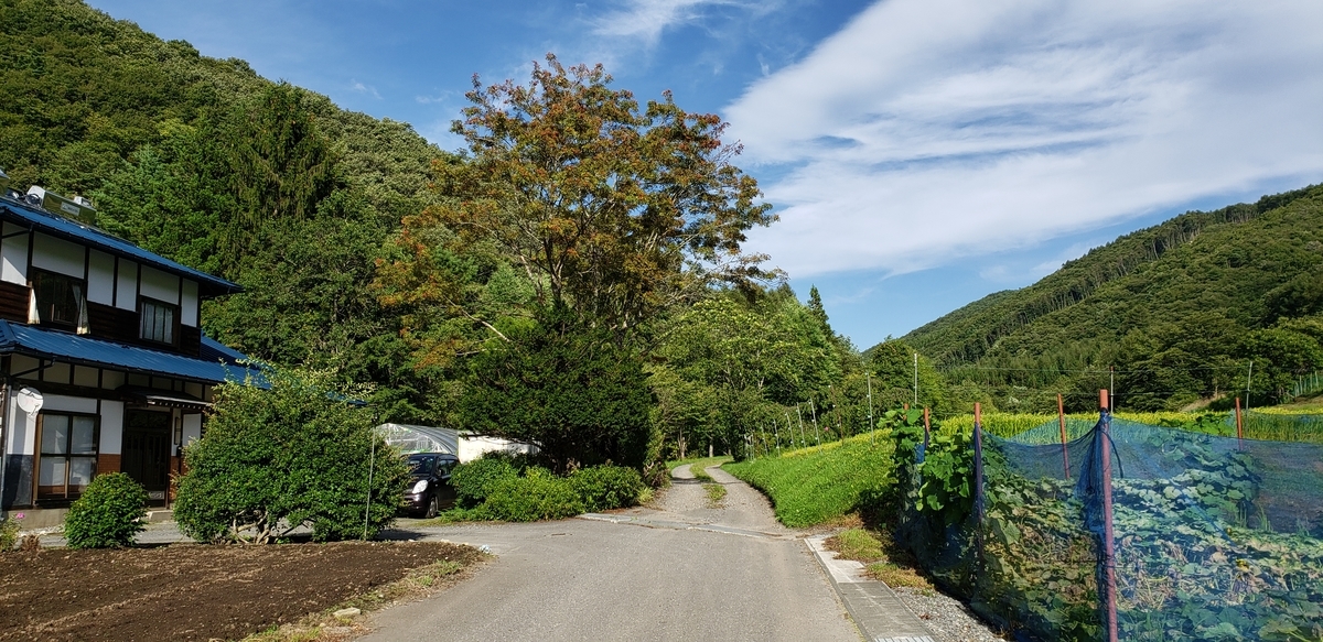 f:id:serow2012:20190901153225j:plain