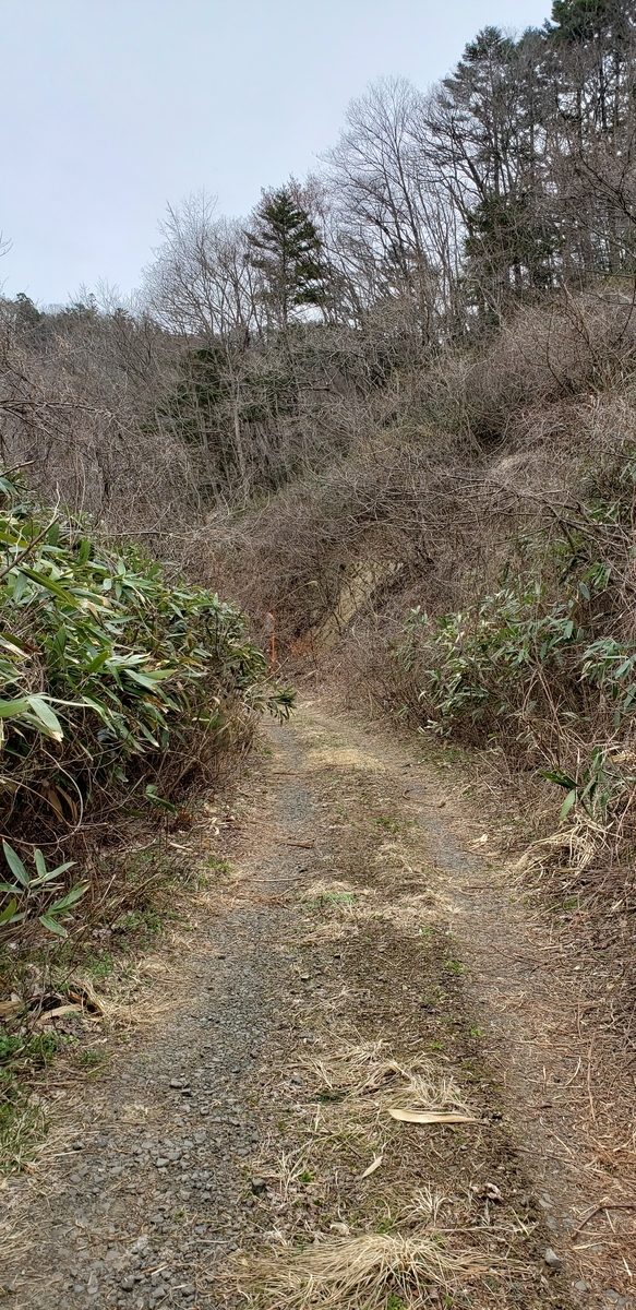 f:id:serow2012:20191025135805j:plain