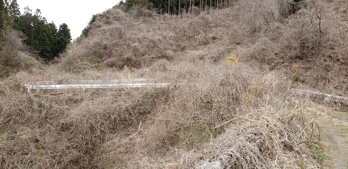 f:id:serow2012:20191025140338j:plain