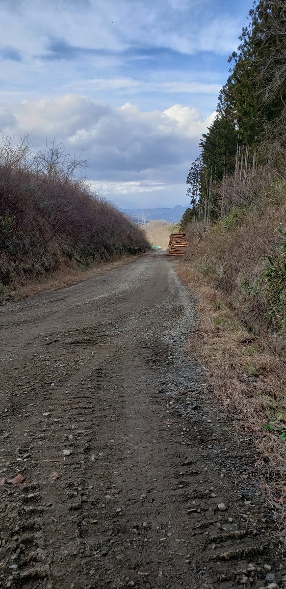 f:id:serow2012:20200106112422j:plain