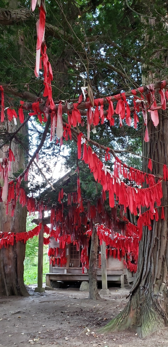 f:id:serow2012:20200207222325j:plain