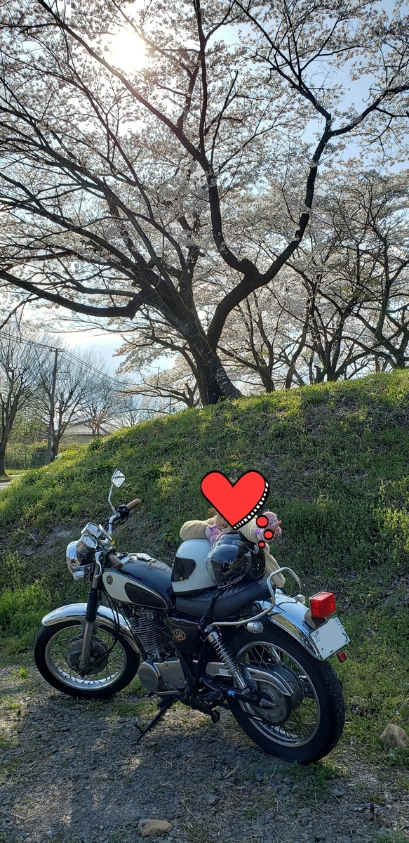 f:id:serow2012:20200413141536j:plain