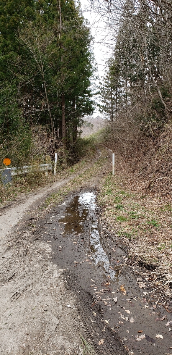 f:id:serow2012:20200527214514j:plain