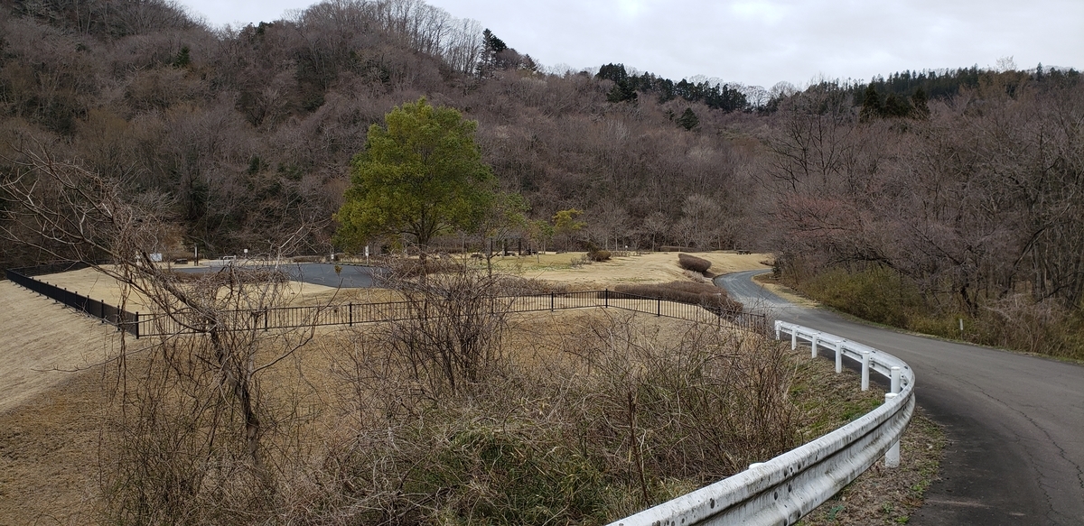 f:id:serow2012:20200527220028j:plain