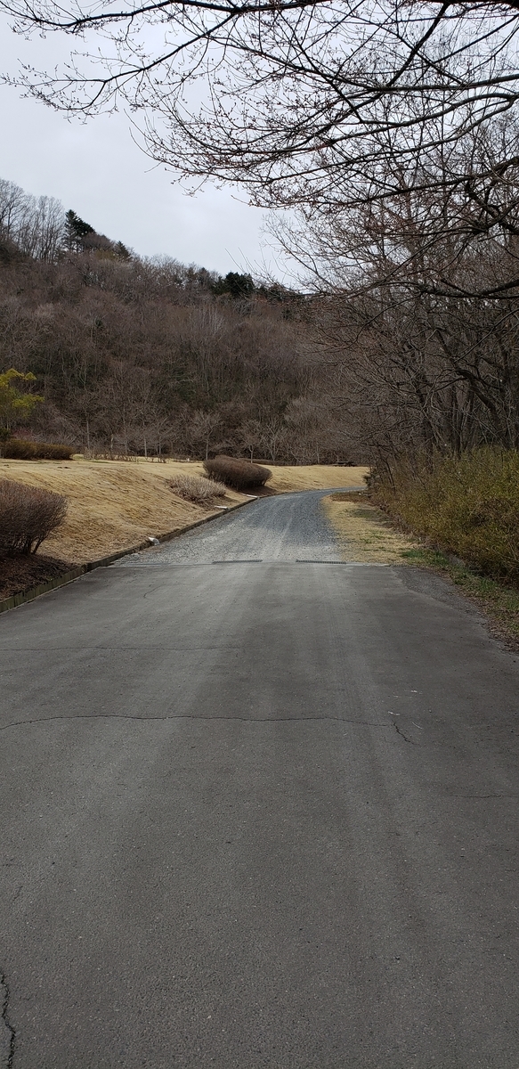 f:id:serow2012:20200527220152j:plain