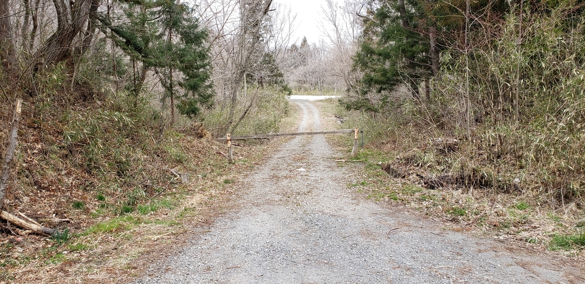 f:id:serow2012:20200527220345j:plain