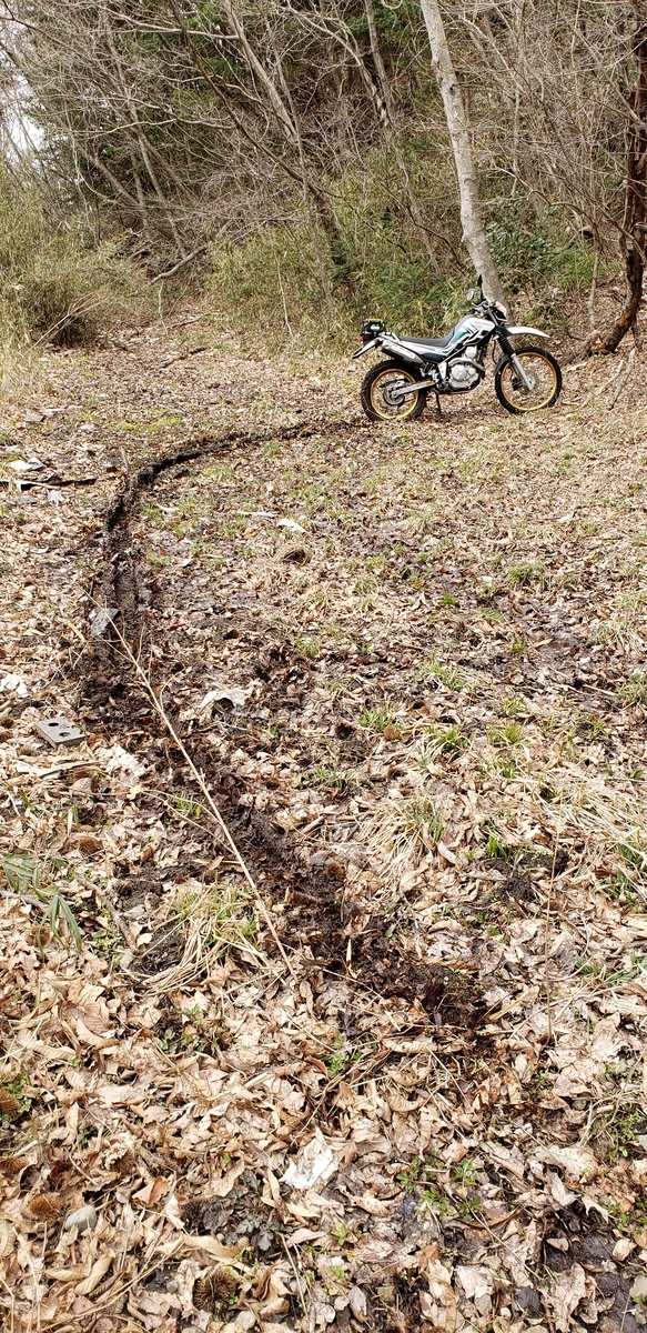 f:id:serow2012:20200527221040j:plain