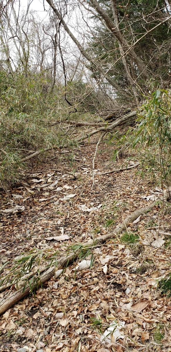 f:id:serow2012:20200527221209j:plain